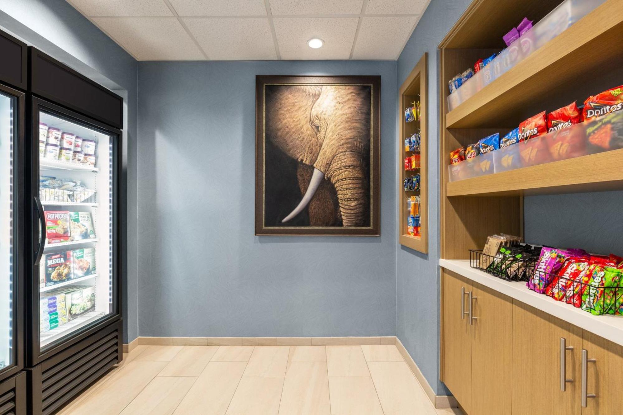 Holiday Inn Express & Suites - Tuscaloosa-University By Ihg 外观 照片